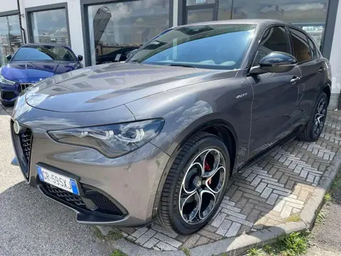 Annonce ALFA ROMEO STELVIO Diesel 2023 d'occasion 