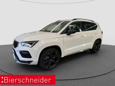 Used CUPRA ATECA Petrol 2023 Ad 