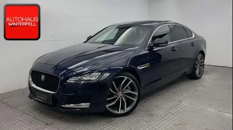 Used JAGUAR XF Diesel 2016 Ad 