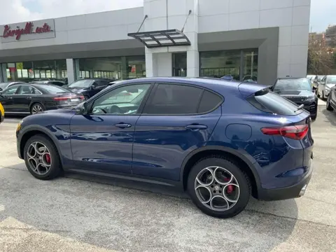 Used ALFA ROMEO STELVIO Diesel 2019 Ad 