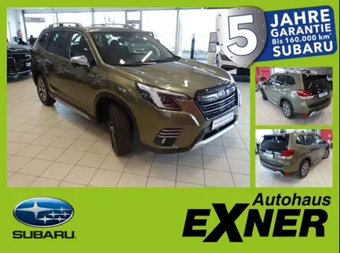 Used SUBARU FORESTER Petrol 2024 Ad 