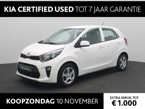 Used KIA PICANTO Petrol 2019 Ad 