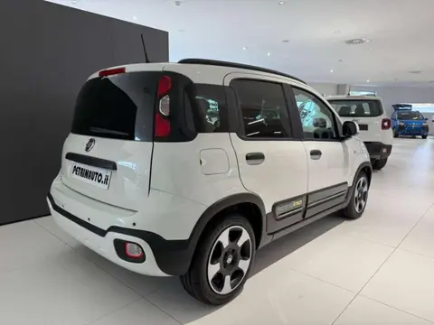 Used FIAT PANDA Hybrid 2024 Ad 