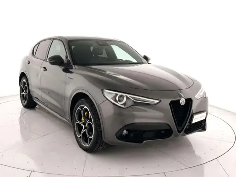 Annonce ALFA ROMEO STELVIO Diesel 2021 d'occasion 