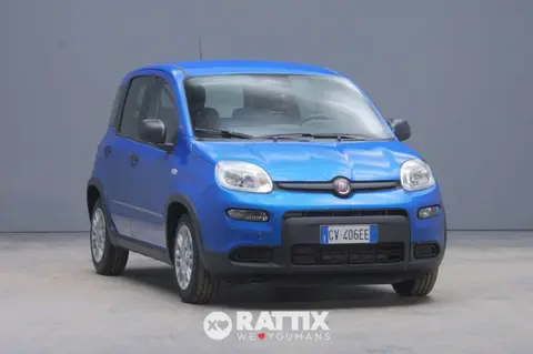 Used FIAT PANDA Hybrid 2024 Ad 