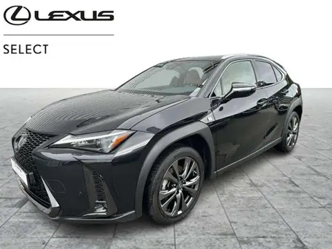 Annonce LEXUS UX Hybride 2023 d'occasion 