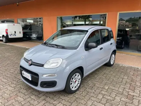 Used FIAT PANDA Petrol 2020 Ad 