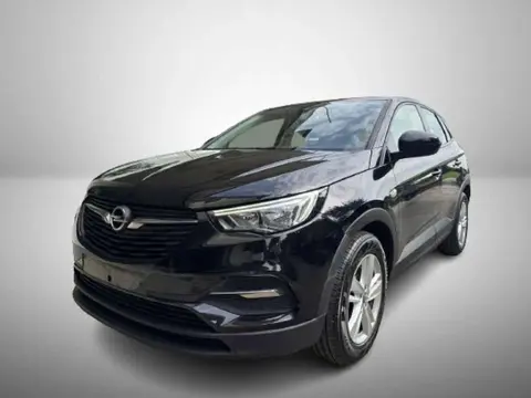 Used OPEL GRANDLAND Diesel 2019 Ad 