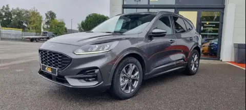 Used FORD KUGA Hybrid 2021 Ad 