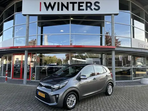 Used KIA PICANTO Petrol 2021 Ad 