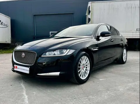 Annonce JAGUAR XF Diesel 2020 d'occasion 