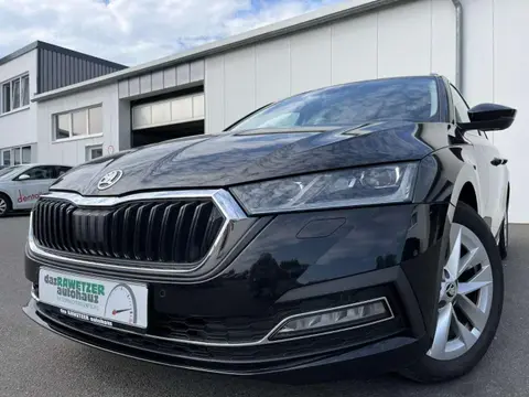 Annonce SKODA OCTAVIA Diesel 2020 d'occasion 