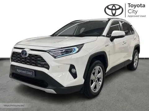 Used TOYOTA RAV4 Hybrid 2020 Ad 