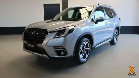 Annonce SUBARU FORESTER Hybride 2024 d'occasion 