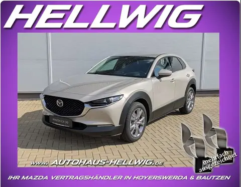 Used MAZDA CX-30 Petrol 2024 Ad 