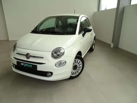 Used FIAT 500 Petrol 2024 Ad 