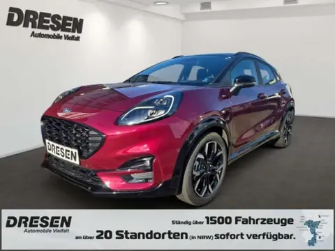 Annonce FORD PUMA Essence 2024 d'occasion 