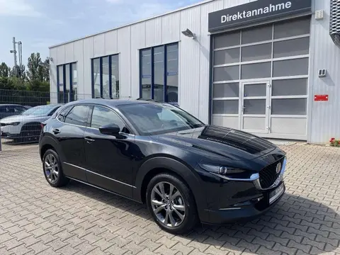 Annonce MAZDA CX-30 Hybride 2021 d'occasion 