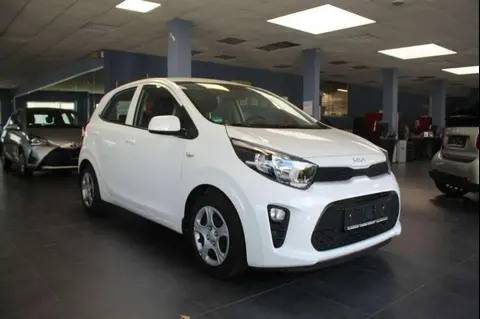 Used KIA PICANTO Petrol 2022 Ad 