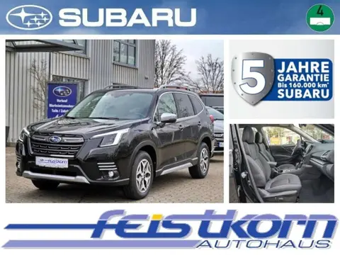 Used SUBARU FORESTER Petrol 2024 Ad 