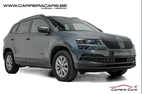 Annonce SKODA KAROQ Diesel 2019 d'occasion 