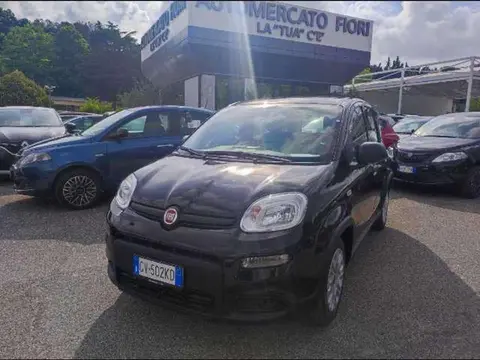 Annonce FIAT PANDA Hybride 2024 d'occasion 