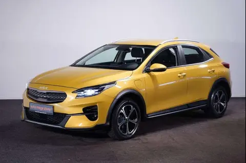 Annonce KIA XCEED Hybride 2022 d'occasion 