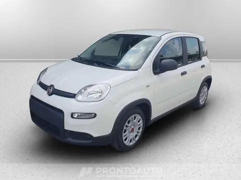 Annonce FIAT PANDA Hybride 2024 d'occasion 