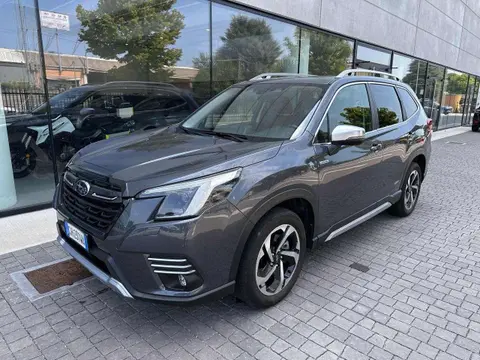 Annonce SUBARU FORESTER Hybride 2022 d'occasion 