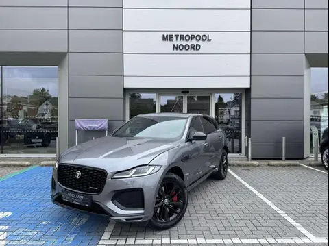 Used JAGUAR F-PACE Hybrid 2023 Ad 