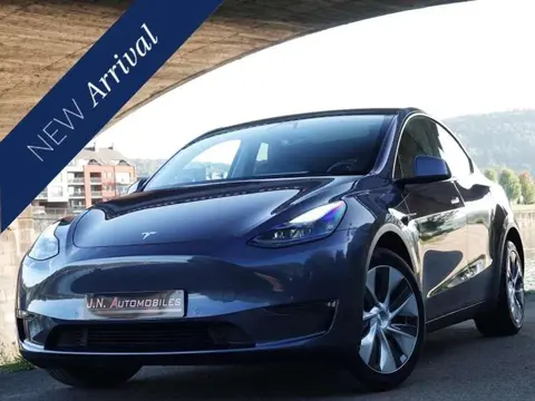 Used TESLA MODEL Y Electric 2021 Ad 