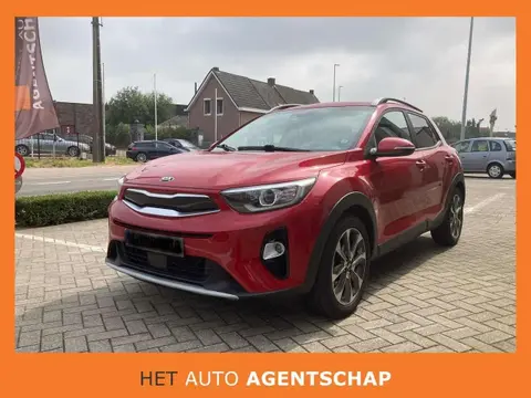 Used KIA STONIC Petrol 2021 Ad Belgium