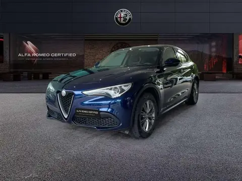 Used ALFA ROMEO STELVIO Diesel 2019 Ad 