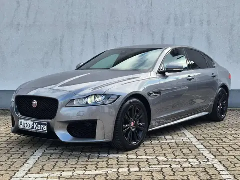 Used JAGUAR XF Diesel 2020 Ad 