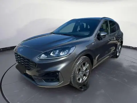 Used FORD KUGA Petrol 2021 Ad 