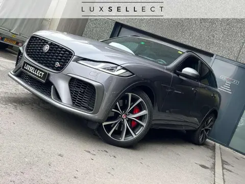 Used JAGUAR F-PACE Petrol 2021 Ad 