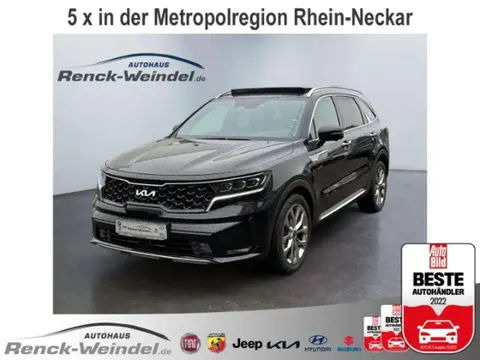 Used KIA SORENTO Diesel 2024 Ad 