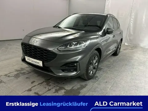 Used FORD KUGA Hybrid 2021 Ad 