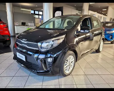 Annonce KIA PICANTO GPL 2024 d'occasion 