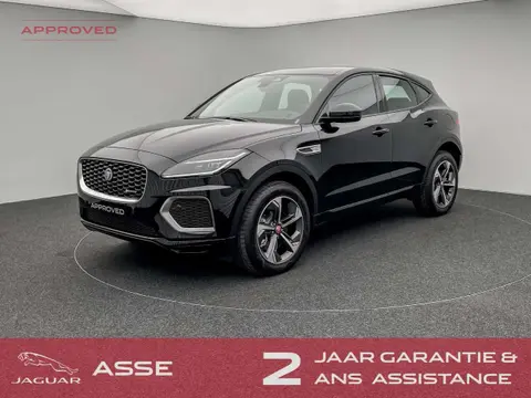 Annonce JAGUAR E-PACE Hybride 2023 d'occasion 