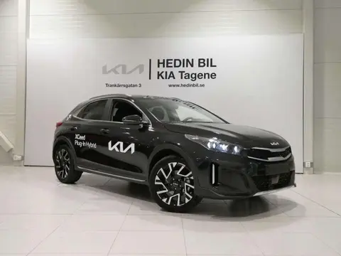 Annonce KIA XCEED Hybride 2024 d'occasion 