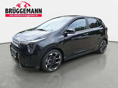 Used KIA PICANTO Petrol 2024 Ad 