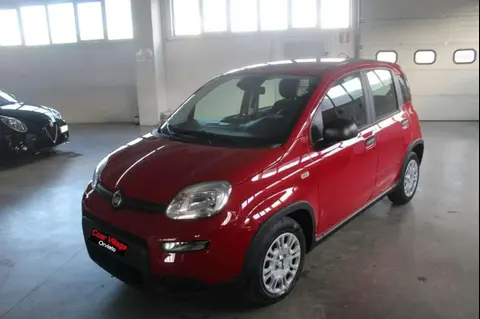 Used FIAT PANDA Hybrid 2024 Ad 