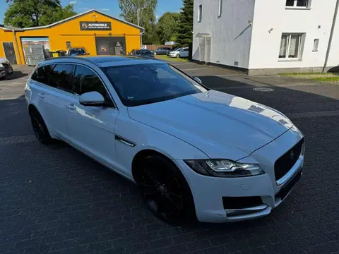 Used JAGUAR XF Diesel 2018 Ad 