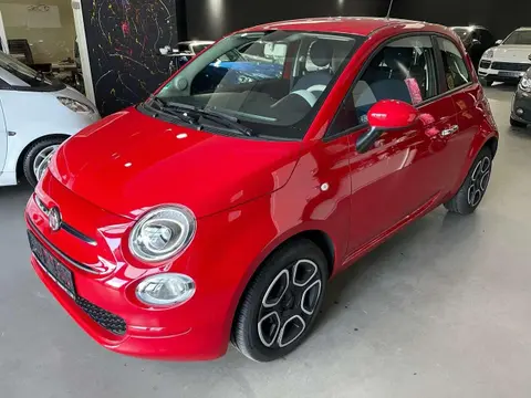 Used FIAT 500 Petrol 2023 Ad 