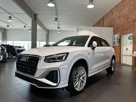 Used AUDI Q2 Diesel 2023 Ad 