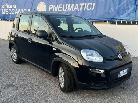 Annonce FIAT PANDA Essence 2024 d'occasion 