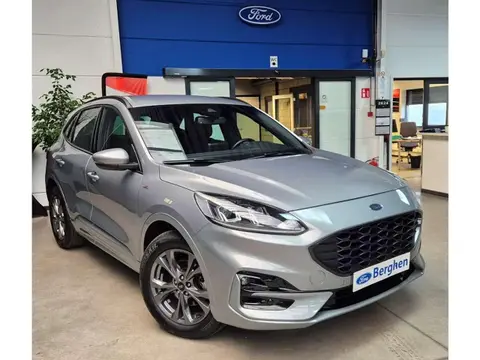 Annonce FORD KUGA Hybride 2022 d'occasion 