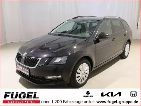 Used SKODA OCTAVIA Diesel 2019 Ad Germany