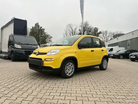 Annonce FIAT PANDA Essence 2024 d'occasion 